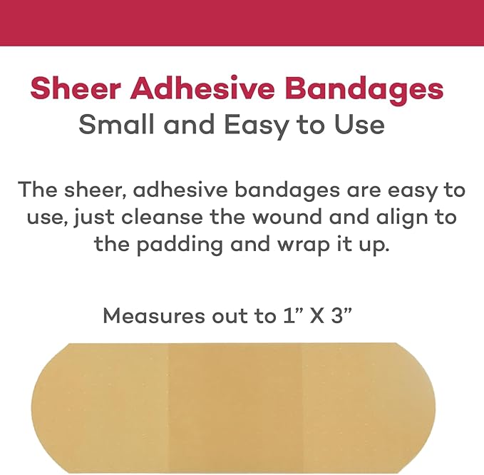 Dealmed Sheer Plastic Flexible Adhesive Bandages – 100 Count (1 Pack) Bandages with Non-Stick Pad, Latex Free, Wound Care for First Aid Kit, 1" x 3"